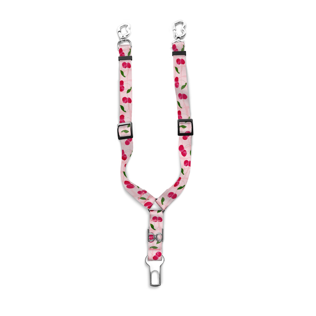 Cinto-de-Segurança-Duplo