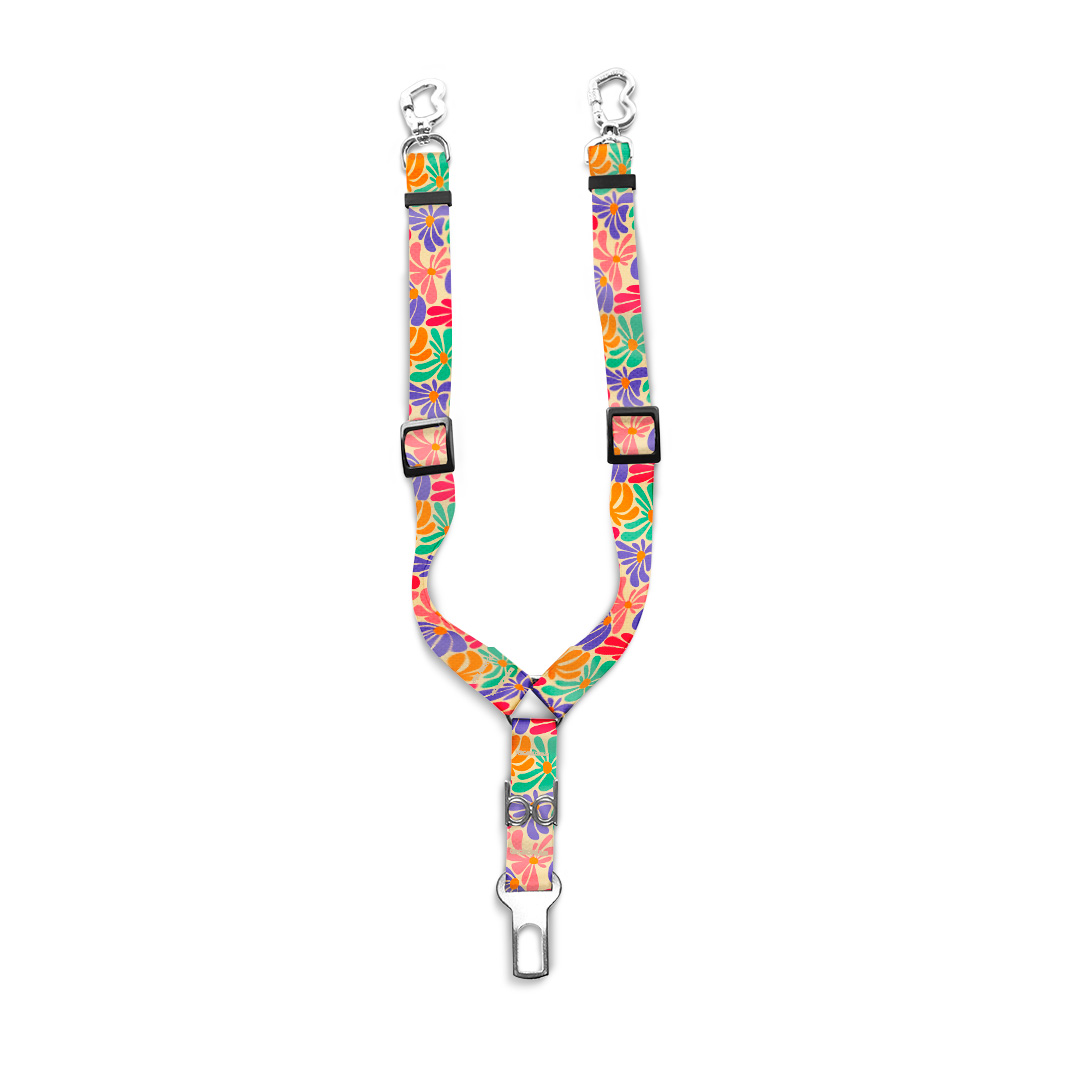 Cinto-de-Segurança-Duplo