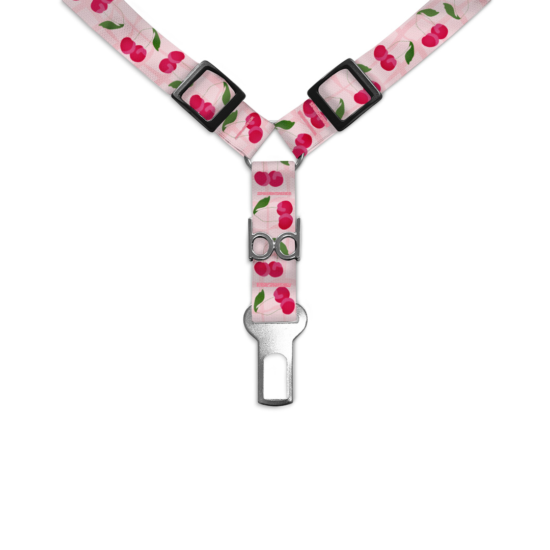 Cinto-de-Segurança-Duplo.2