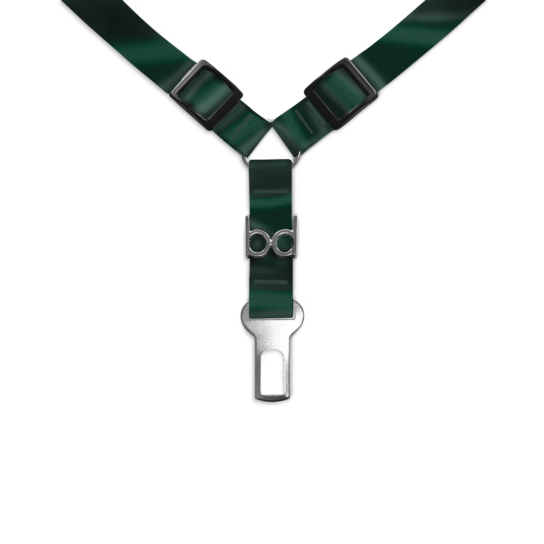 Cinto-de-Segurança-Duplo.2