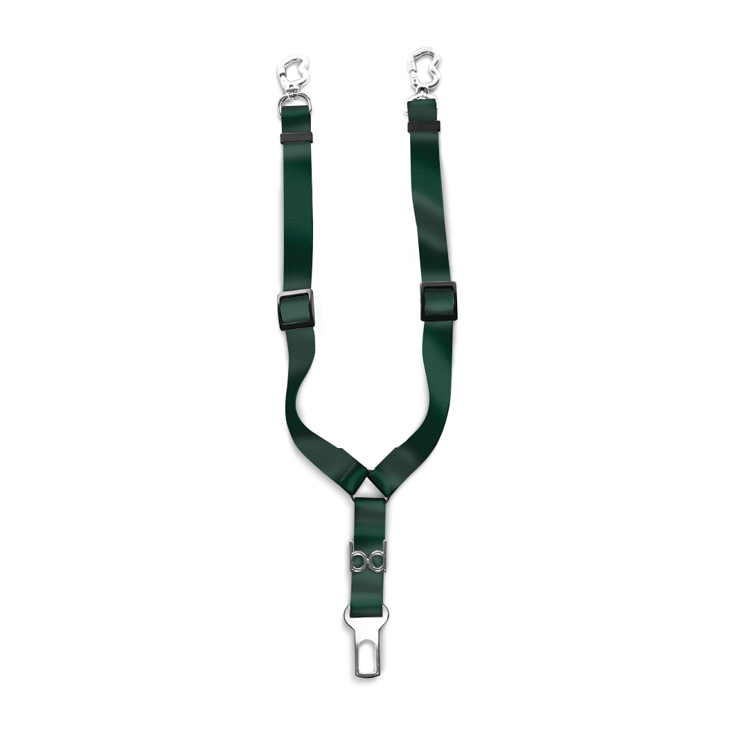 Cinto-de-Segurança-Duplo