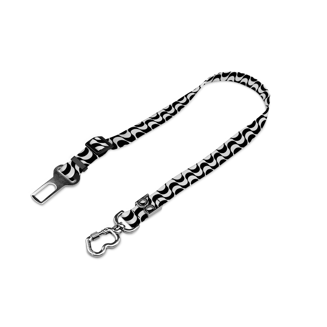 Cinto-de-Segurança.2