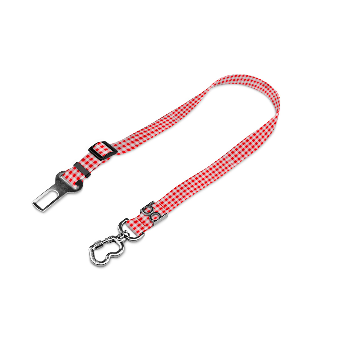 Cinto-de-Segurança.2