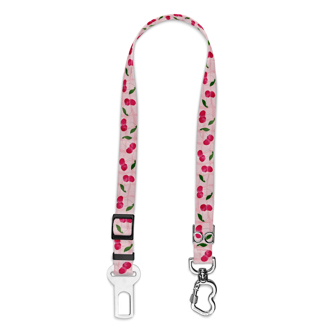 Cinto-de-Segurança.3