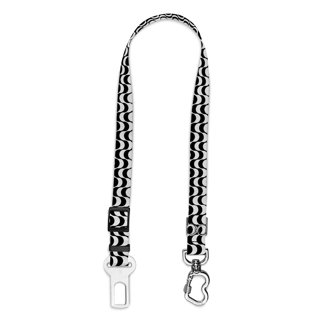 Cinto-de-Segurança.3