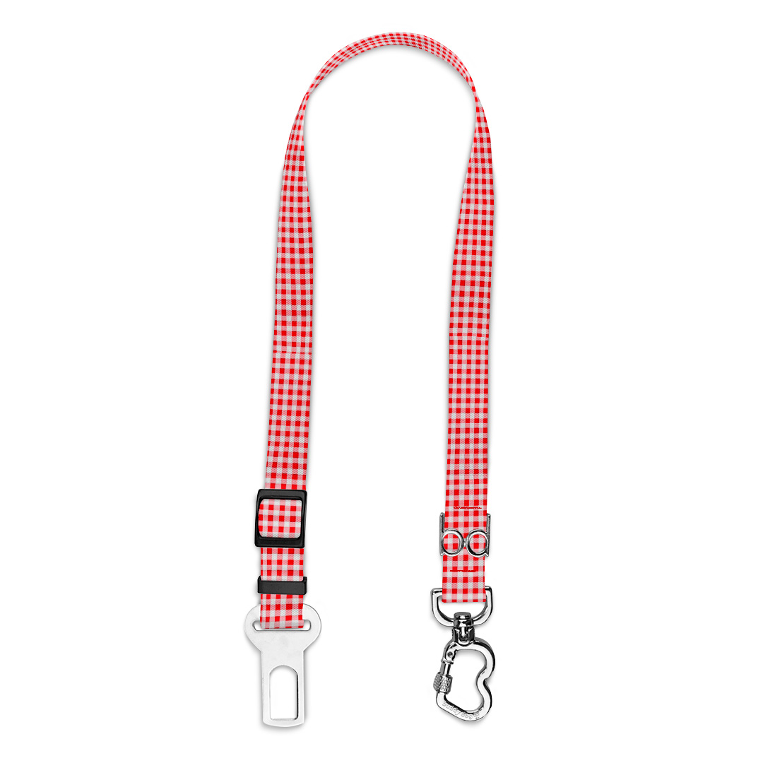 Cinto-de-Segurança.3