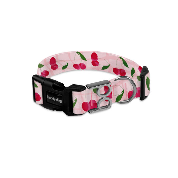 Coleira Cherry