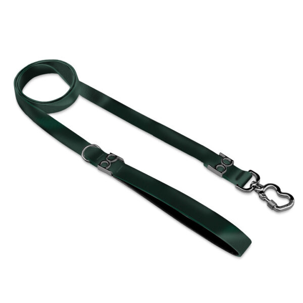 Guia Tradicional Verde Musgo