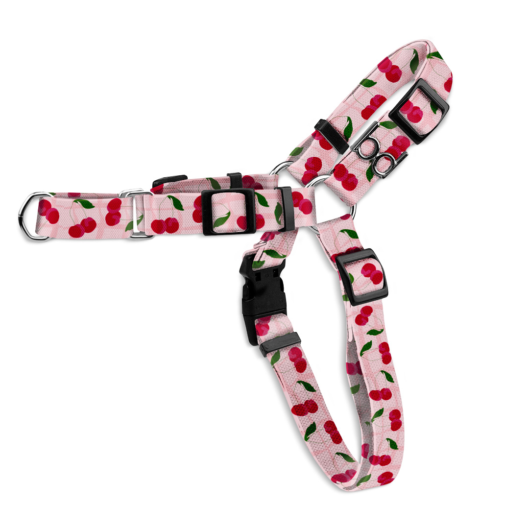 Peitoral-Anti-puxão