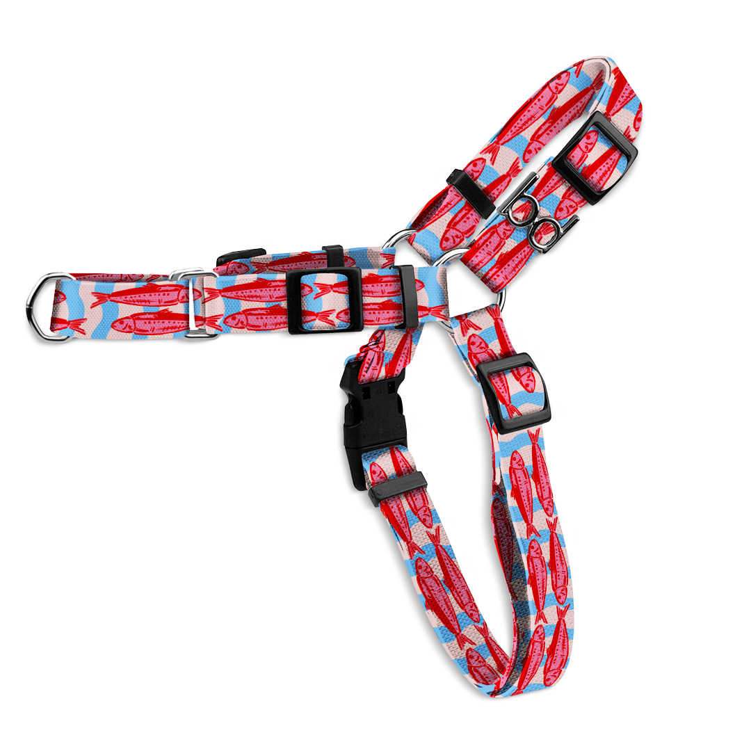 Peitoral-Anti-puxão