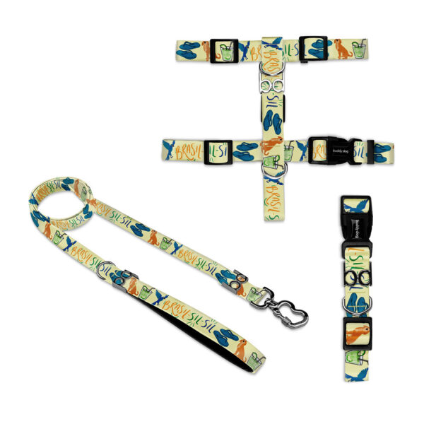 Kit Completo Hexa Brasil